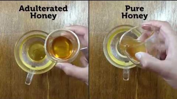 How to Differentiate Real Honey from Fake Honey