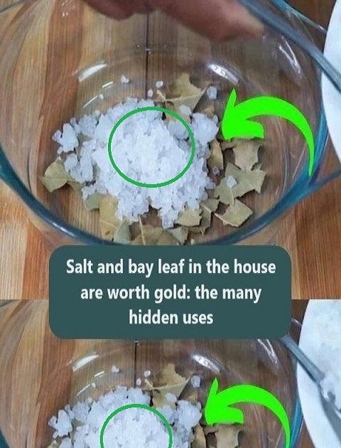 Salt and bay leaf in the house are worth gold: the many hidden uses