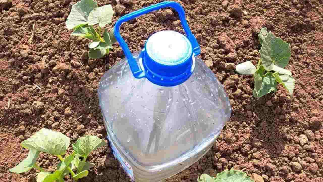 Il sistema più semplice per irrigare le piante The simplest system for watering plants