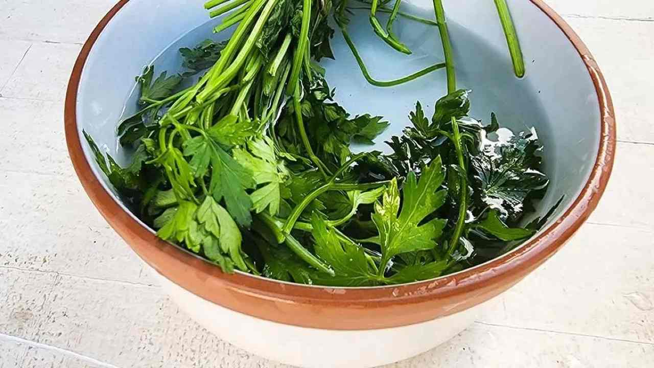 Parsley in bowl