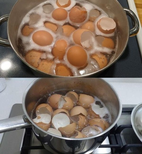 Boil eggshells in a saucepan – you will save a lot of money