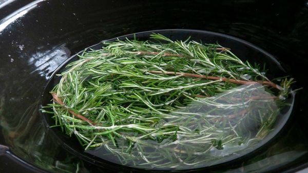 Sprigs of rosemary