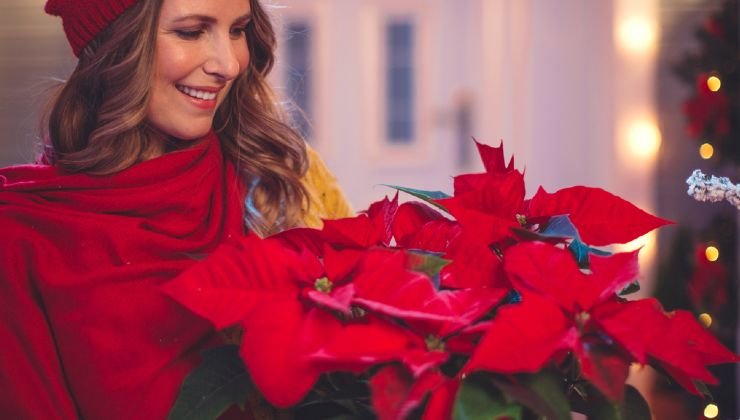 Holiday gift