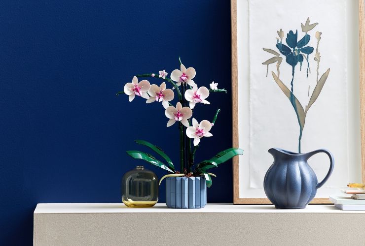 Orchid