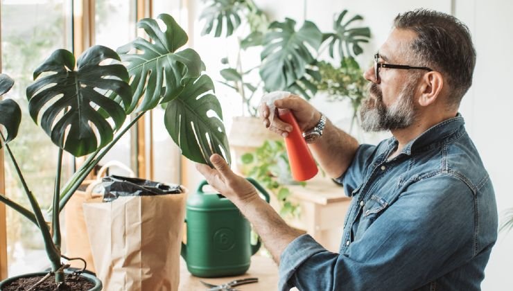 Fertilizer for plants