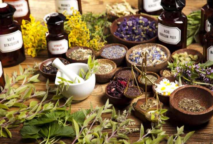Healing plants
