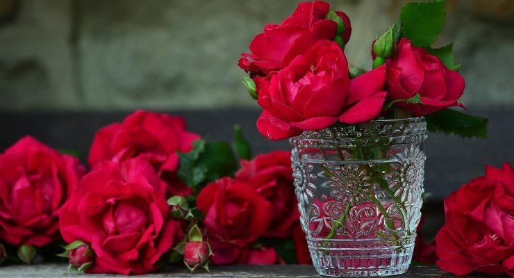 Roses inside a glass Roses inside a glass