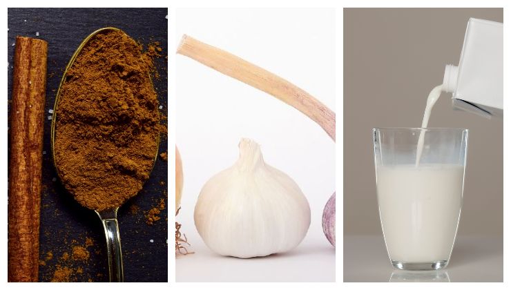 Three ingredients for fungicide