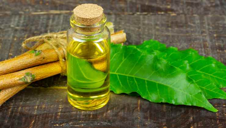 neem oil neem oil