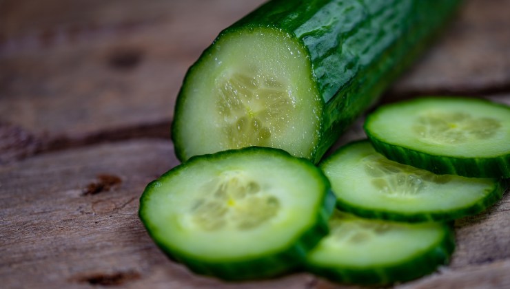 Evita malattie ai tuoi cetrioli Avoid diseases to your cucumbers