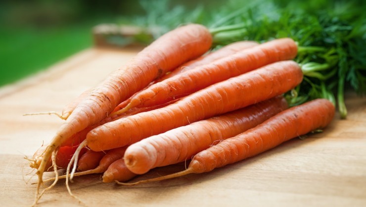 Le proprietà delle carote The properties of carrots