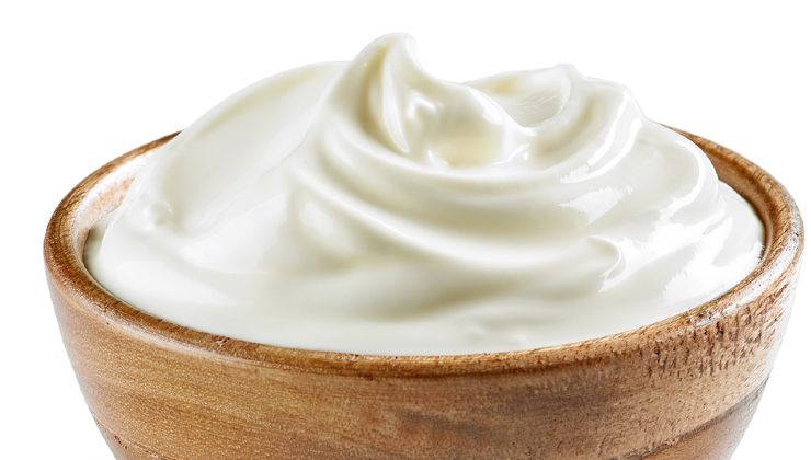 Yogurt bianco Plain yogurt