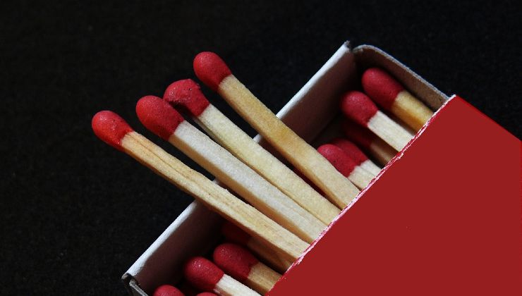 matches for plants