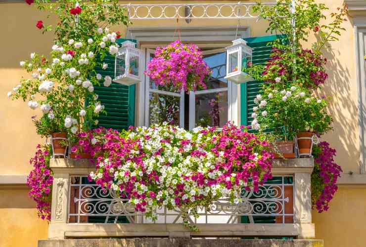 Flowered balcony