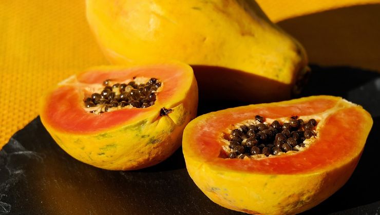 Papaya fertilizer