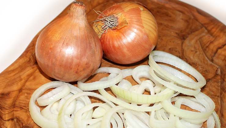 Cipolla rimedio per le piante Onion remedy for plants