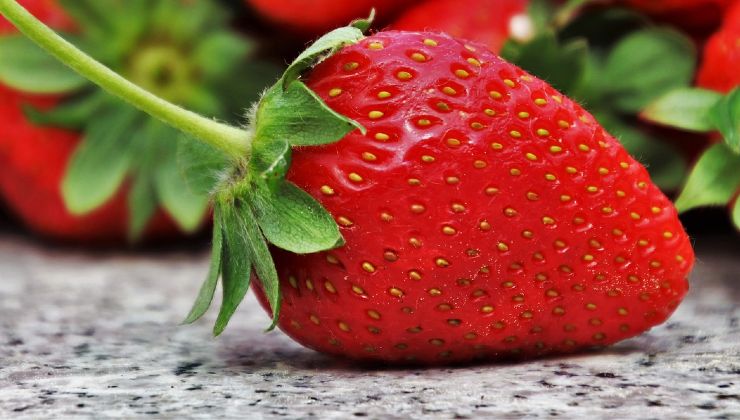 Red strawberries