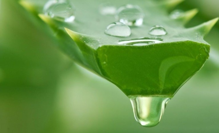 Aloe vera gel Aloe vera gel