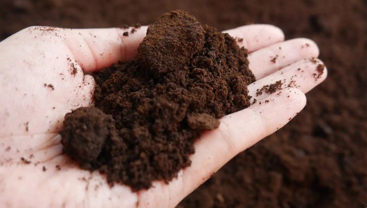 Fondi di caffè sulla mano Coffee grounds on the hand