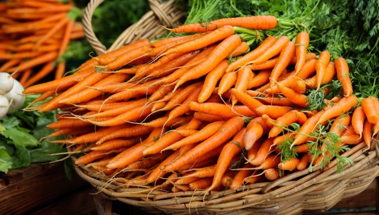 Carote Carrots