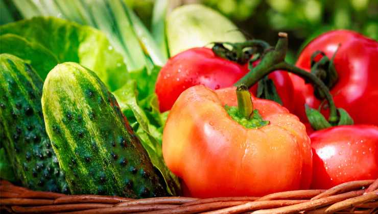 Prodotti dell'orto estivo Products from the summer garden