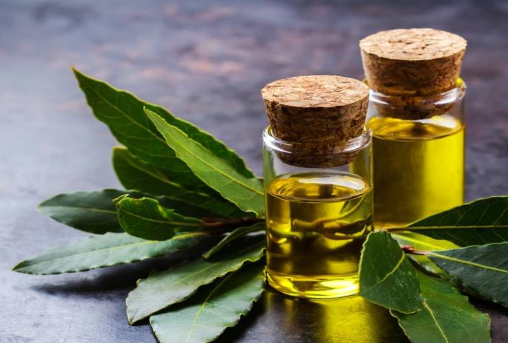 Laurel oil