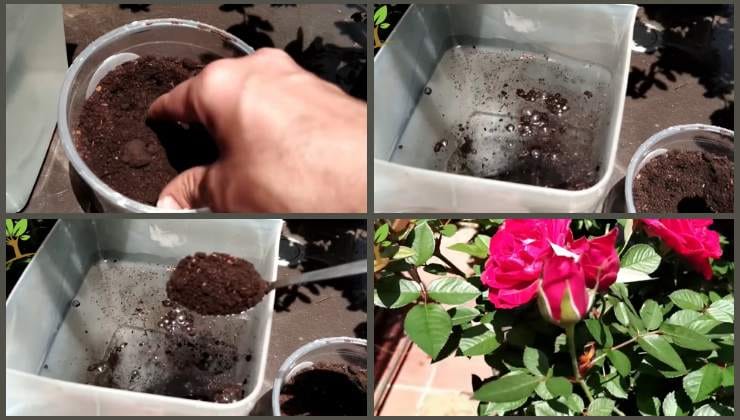 Fertilizer