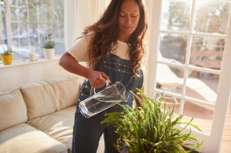 Watering
