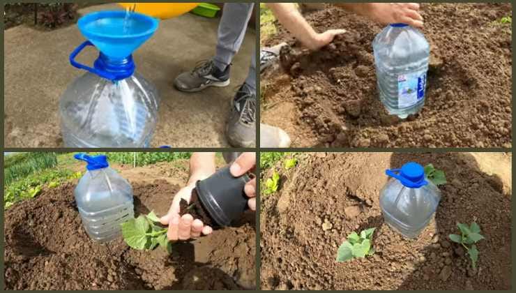 Tecnica semplice e comoda per irrigare le piante Simple and convenient technique for watering plants